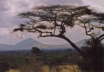 This photo of Tzavo National Park in Kenya, Africa was taken by Milanese photographer Cristiano Galbiati.